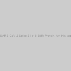 Image of SARS-CoV-2 Spike S1 (16-685) Protein, Avi-His-tag